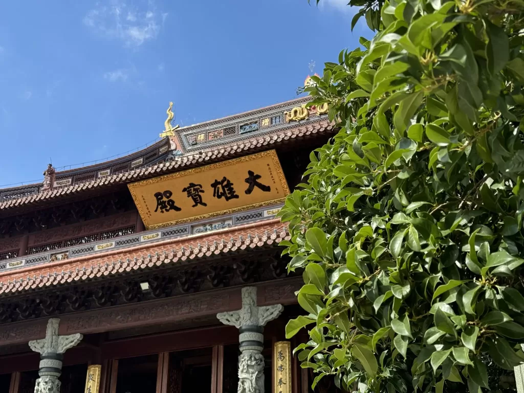 桂花季节的生活记录照片